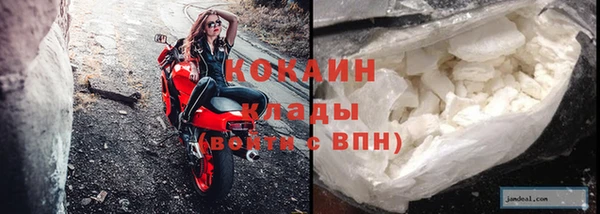 гидра Усмань