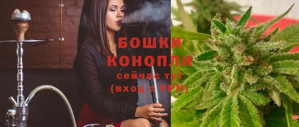 гидра Усмань